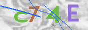 Image Anti-spam